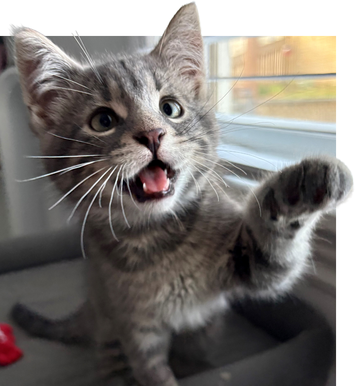 The <span>Need</span>